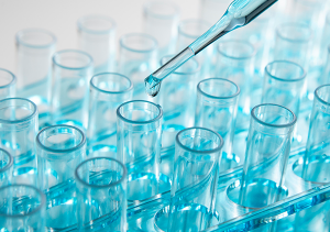 Mice breeding for research
