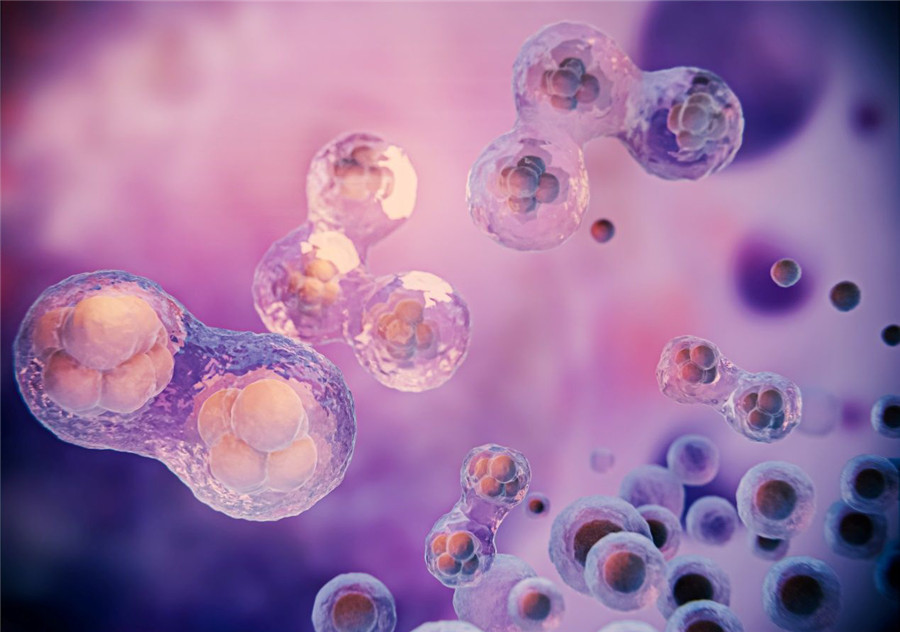 QuickMice™ Multi-locus gene editing mouse customization