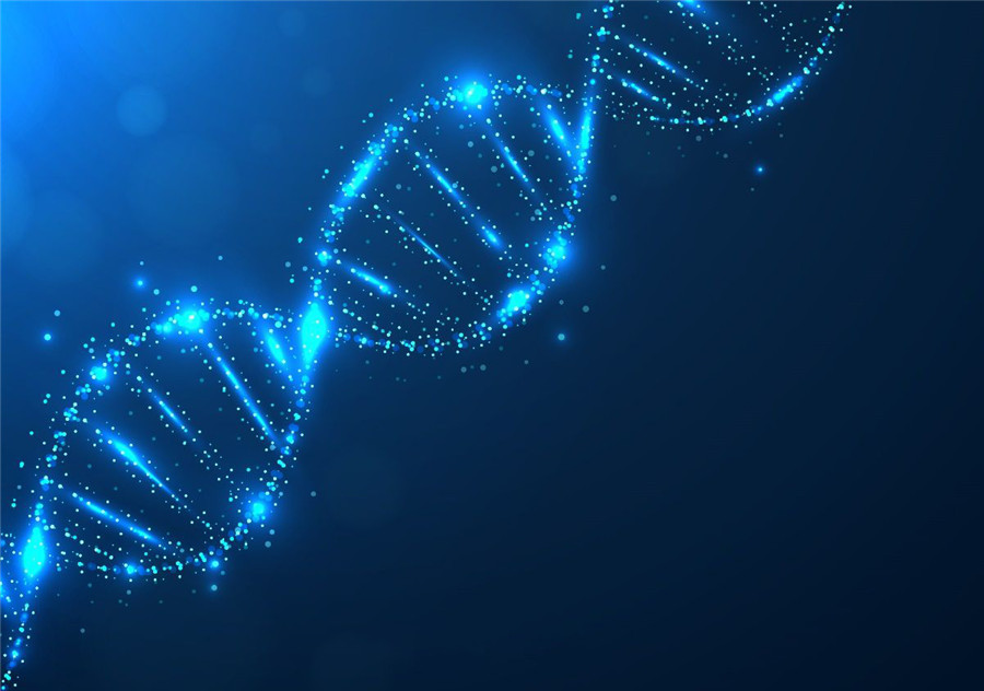 QuickMice™ Long Fragment gene editing mouse customization