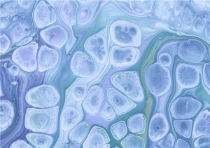 Gene-edited cell lines
